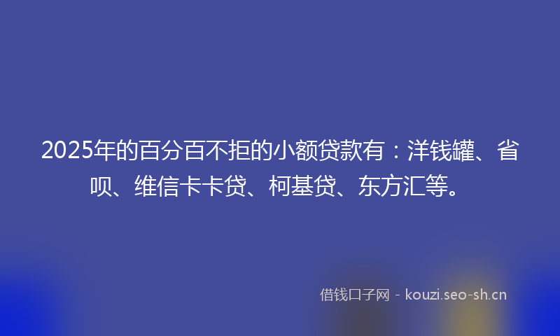 2025年的百分百不拒的小额贷款有：洋钱罐、省呗、维信卡卡贷、柯基贷、东方汇等。