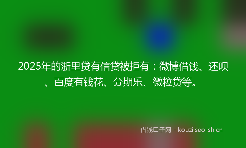 2025年的浙里贷有信贷被拒有：微博借钱、还呗、百度有钱花、分期乐、微粒贷等。