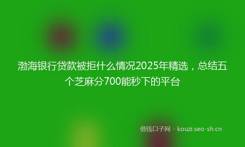渤海银行贷款被拒什么情况2025年精选，总结五个芝麻分700能秒下的平台