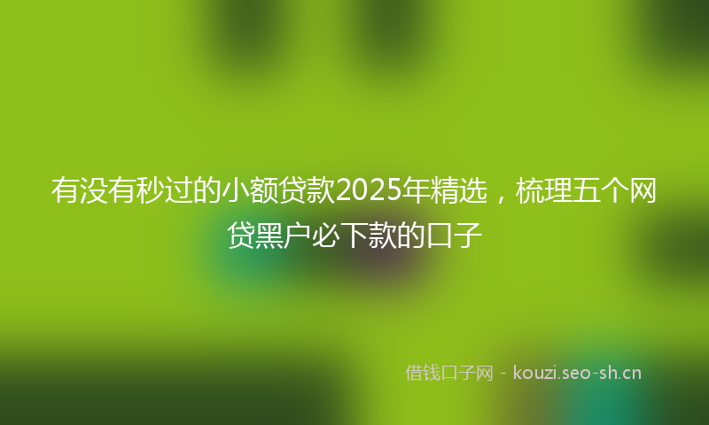 有没有秒过的小额贷款2025年精选，梳理五个网贷黑户必下款的口子