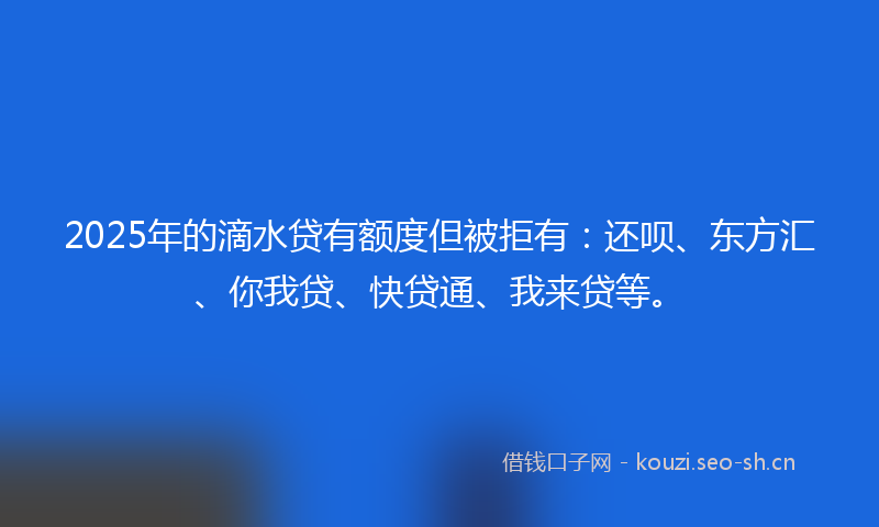 2025年的滴水贷有额度但被拒有：还呗、东方汇、你我贷、快贷通、我来贷等。