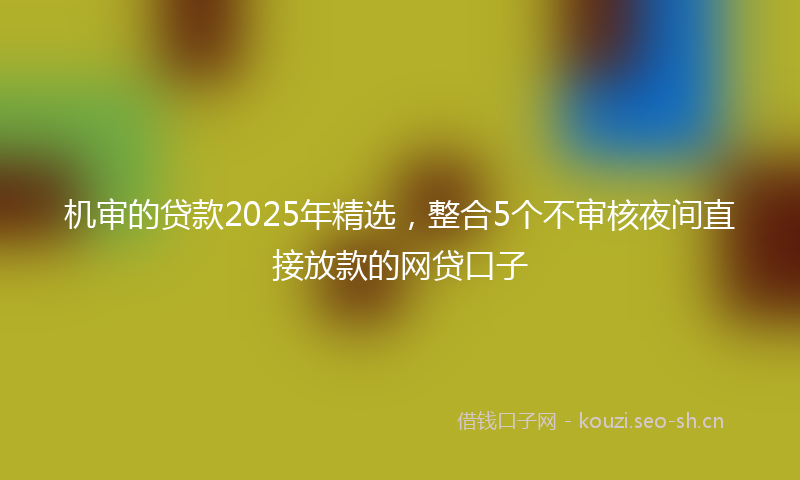 机审的贷款2025年精选，整合5个不审核夜间直接放款的网贷口子