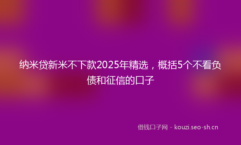 纳米贷新米不下款2025年精选，概括5个不看负债和征信的口子