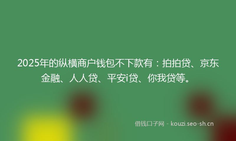 2025年的纵横商户钱包不下款有：拍拍贷、京东金融、人人贷、平安i贷、你我贷等。
