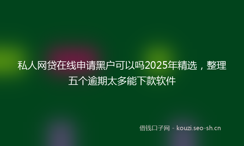 私人网贷在线申请黑户可以吗2025年精选，整理五个逾期太多能下款软件