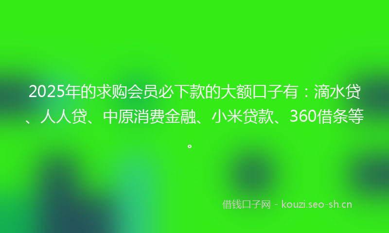2025年的求购会员必下款的大额口子有：滴水贷、人人贷、中原消费金融、小米贷款、360借条等。