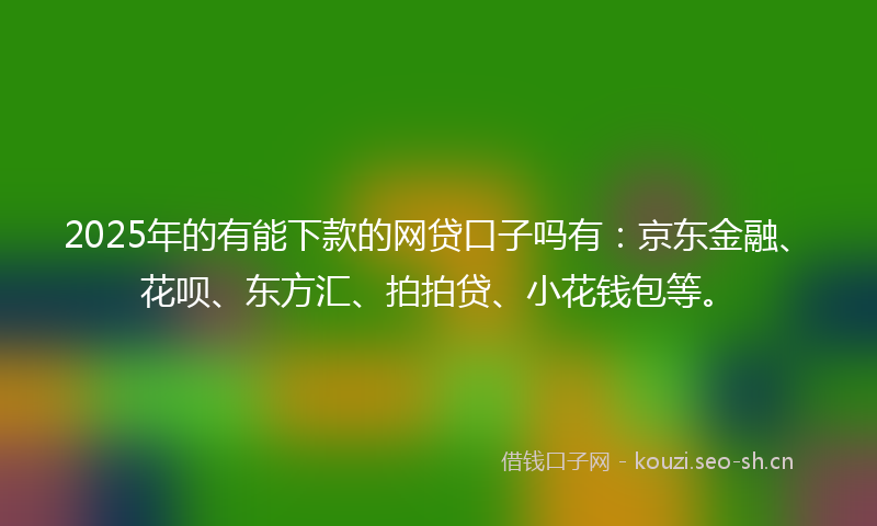 2025年的有能下款的网贷口子吗有：京东金融、花呗、东方汇、拍拍贷、小花钱包等。