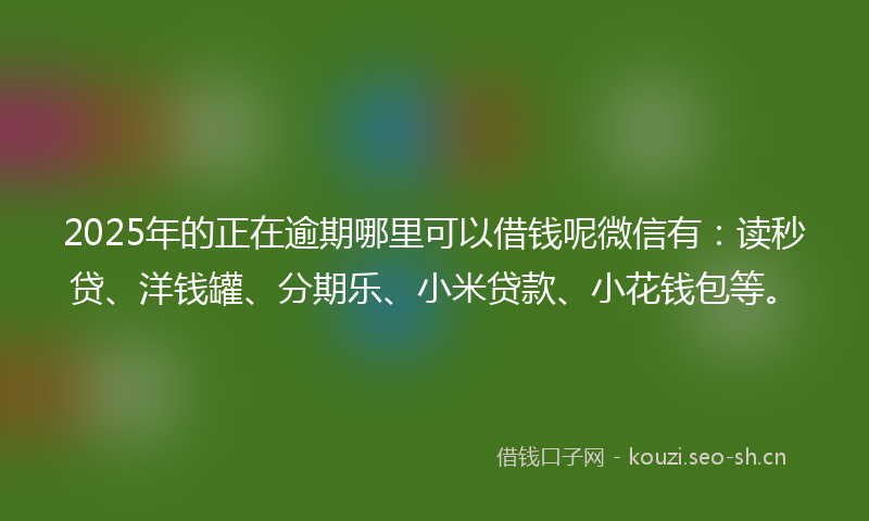 2025年的正在逾期哪里可以借钱呢微信有：读秒贷、洋钱罐、分期乐、小米贷款、小花钱包等。