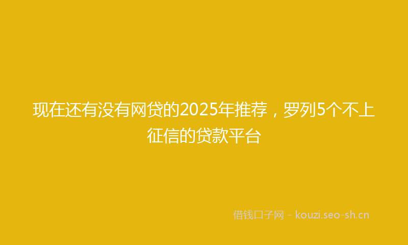 现在还有没有网贷的2025年推荐，罗列5个不上征信的贷款平台