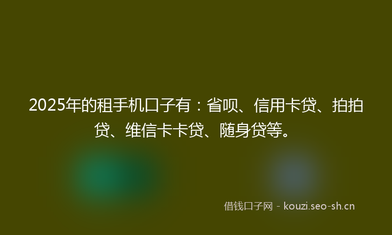 2025年的租手机口子有：省呗、信用卡贷、拍拍贷、维信卡卡贷、随身贷等。