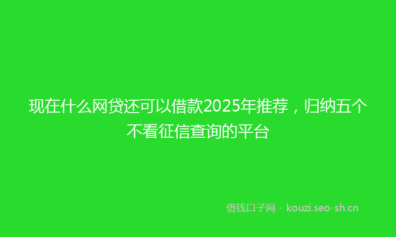 现在什么网贷还可以借款2025年推荐，归纳五个不看征信查询的平台