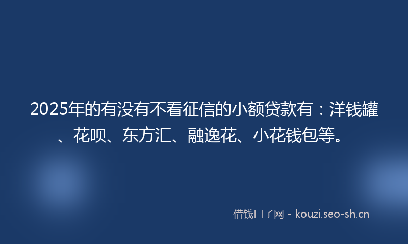 2025年的有没有不看征信的小额贷款有：洋钱罐、花呗、东方汇、融逸花、小花钱包等。