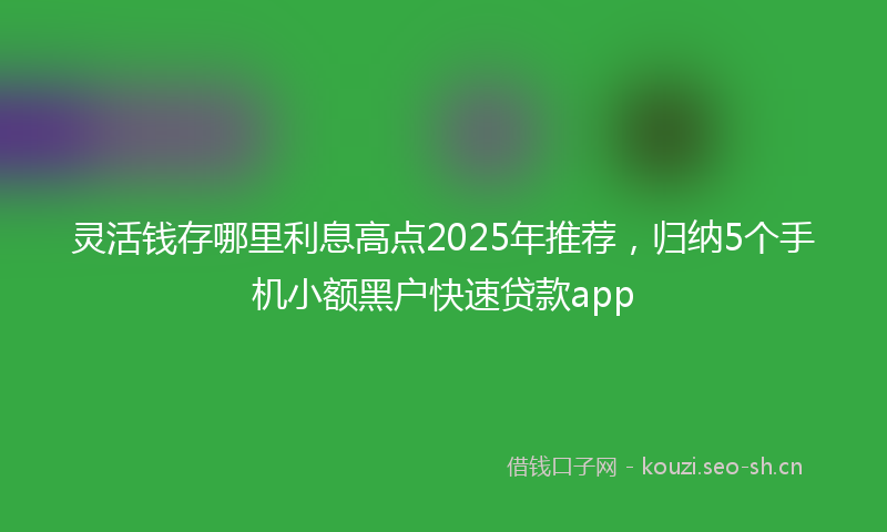 灵活钱存哪里利息高点2025年推荐,归纳5个手机小额黑户快速贷款app