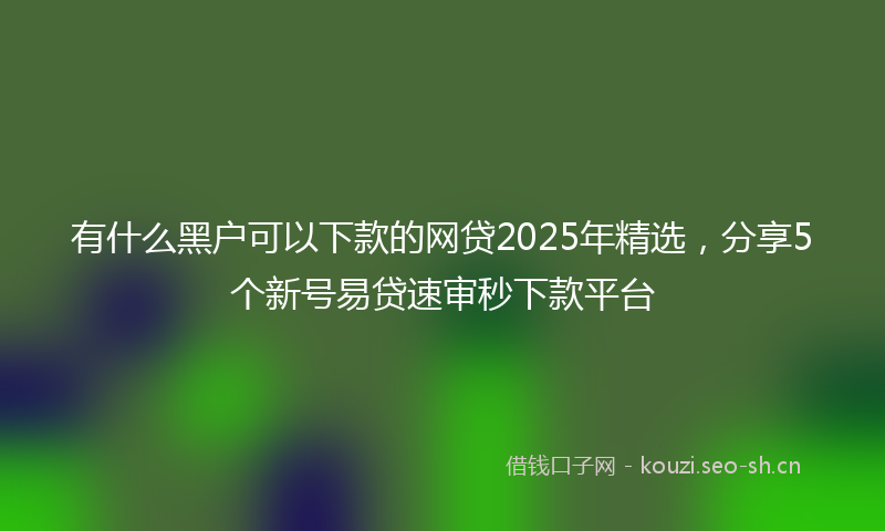 有什么黑户可以下款的网贷2025年精选，分享5个新号易贷速审秒下款平台