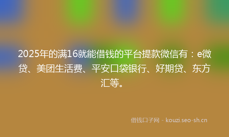 2025年的满16就能借钱的平台提款微信有：e微贷、美团生活费、平安口袋银行、好期贷、东方汇等。