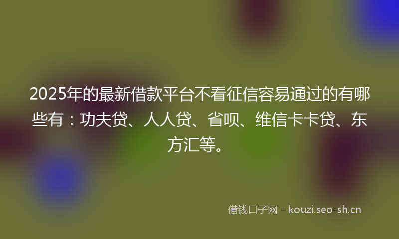2025年的最新借款平台不看征信容易通过的有哪些有：功夫贷、人人贷、省呗、维信卡卡贷、东方汇等。