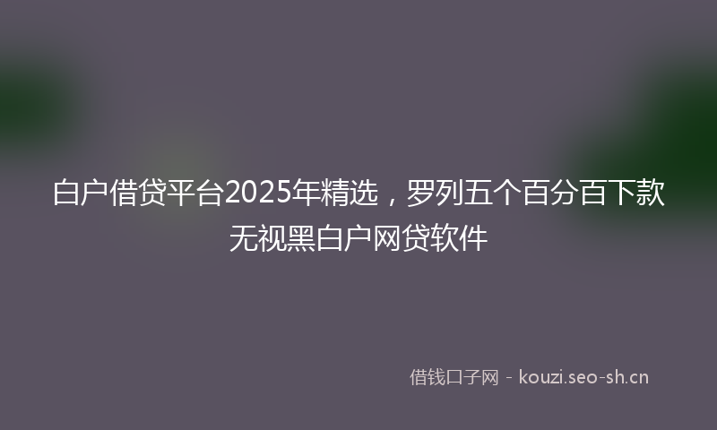 白户借贷平台2025年精选,罗列五个百分百下款无视黑白户网贷软件