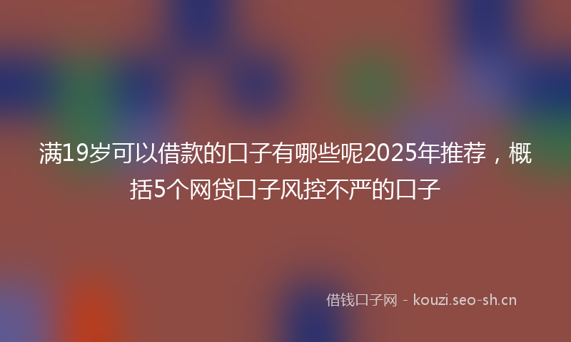满19岁可以借款的口子有哪些呢2025年推荐，概括5个网贷口子风控不严的口子