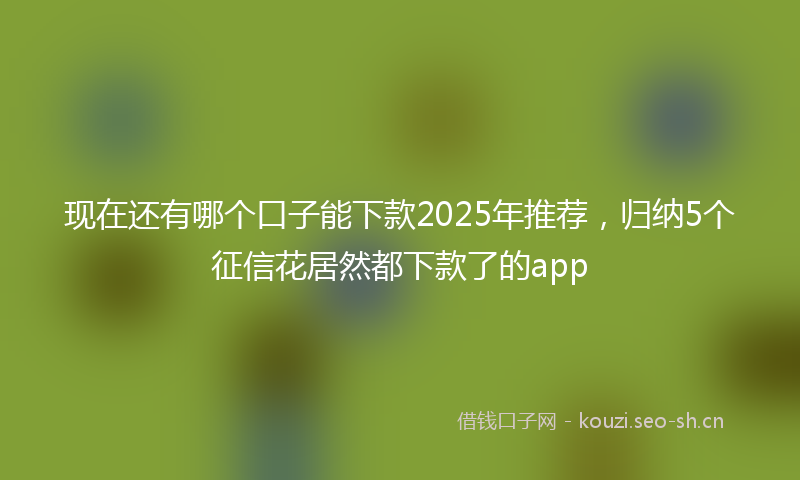 现在还有哪个口子能下款2025年推荐，归纳5个征信花居然都下款了的app