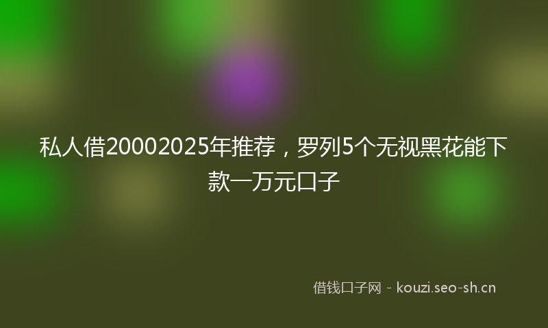 私人借20002025年推荐，罗列5个无视黑花能下款一万元口子