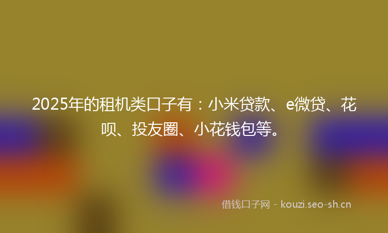 2025年的租机类口子有：小米贷款、e微贷、花呗、投友圈、小花钱包等。