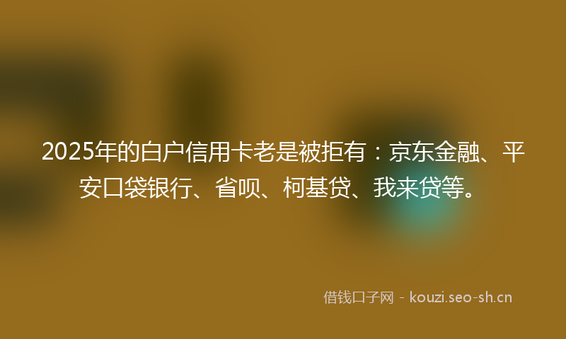 2025年的白户信用卡老是被拒有：京东金融、平安口袋银行、省呗、柯基贷、我来贷等。