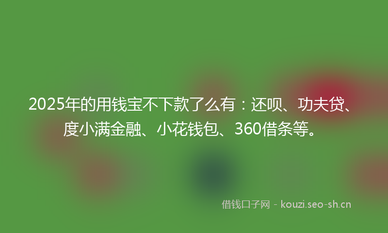 2025年的用钱宝不下款了么有:还呗、功夫贷、度小满金融、小花钱包、360借条等。