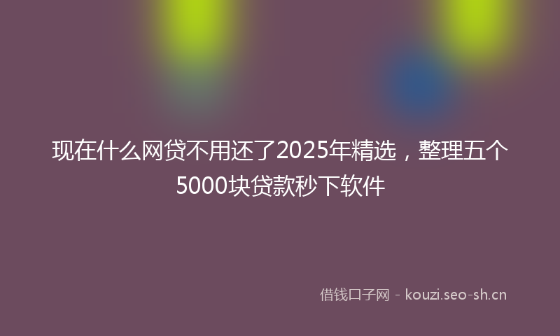 现在什么网贷不用还了2025年精选，整理五个5000块贷款秒下软件