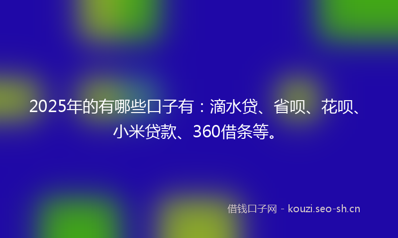 2025年的有哪些口子有：滴水贷、省呗、花呗、小米贷款、360借条等。