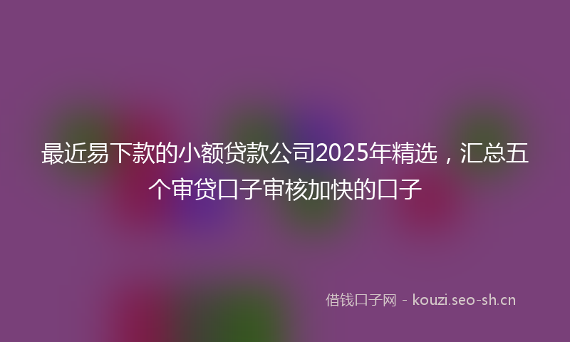 最近易下款的小额贷款公司2025年精选，汇总五个审贷口子审核加快的口子