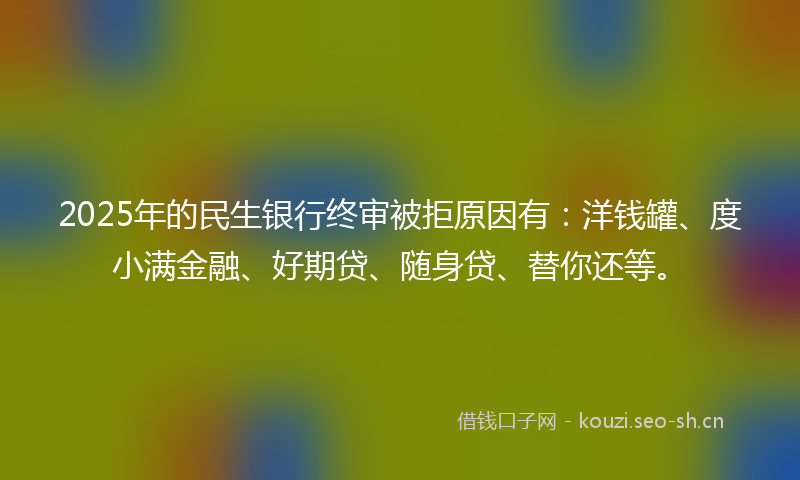 2025年的民生银行终审被拒原因有：洋钱罐、度小满金融、好期贷、随身贷、替你还等。