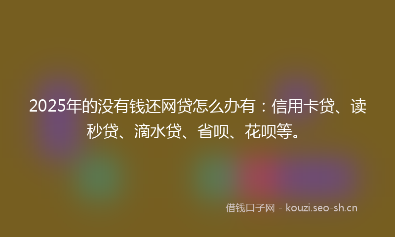 2025年的没有钱还网贷怎么办有：信用卡贷、读秒贷、滴水贷、省呗、花呗等。