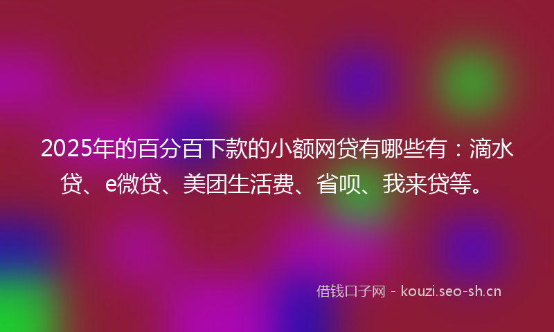 2025年的百分百下款的小额网贷有哪些有:滴水贷、e微贷、美团生活费、省呗、我来贷等。