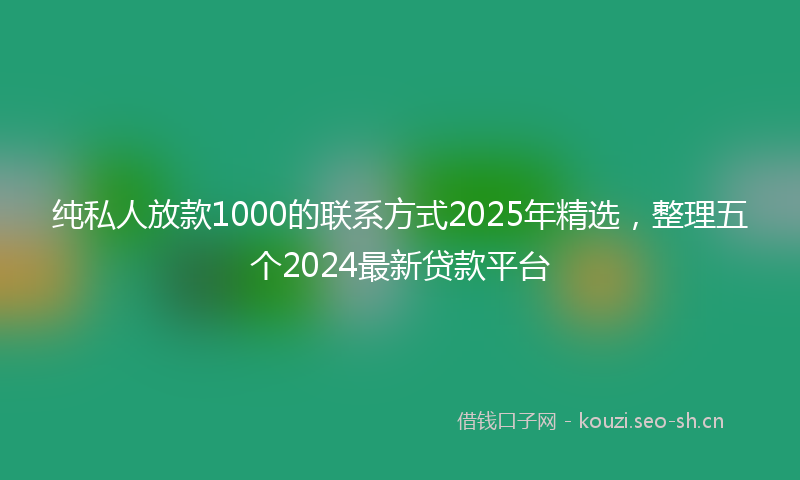 纯私人放款1000的联系方式2025年精选，整理五个2024最新贷款平台