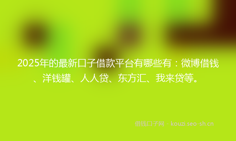 2025年的最新口子借款平台有哪些有：微博借钱、洋钱罐、人人贷、东方汇、我来贷等。
