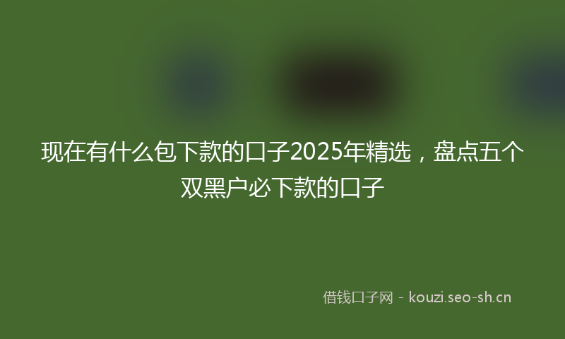 现在有什么包下款的口子2025年精选，盘点五个双黑户必下款的口子
