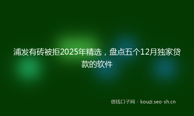 浦发有砖被拒2025年精选，盘点五个12月独家贷款的软件