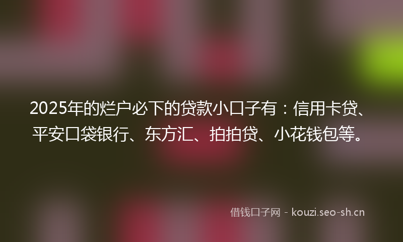 2025年的烂户必下的贷款小口子有：信用卡贷、平安口袋银行、东方汇、拍拍贷、小花钱包等。