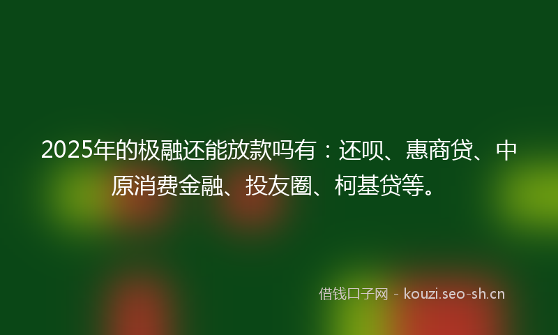 2025年的极融还能放款吗有：还呗、惠商贷、中原消费金融、投友圈、柯基贷等。