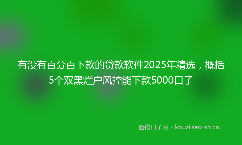 有没有百分百下款的贷款软件2025年精选，概括5个双黑烂户风控能下款5000口子