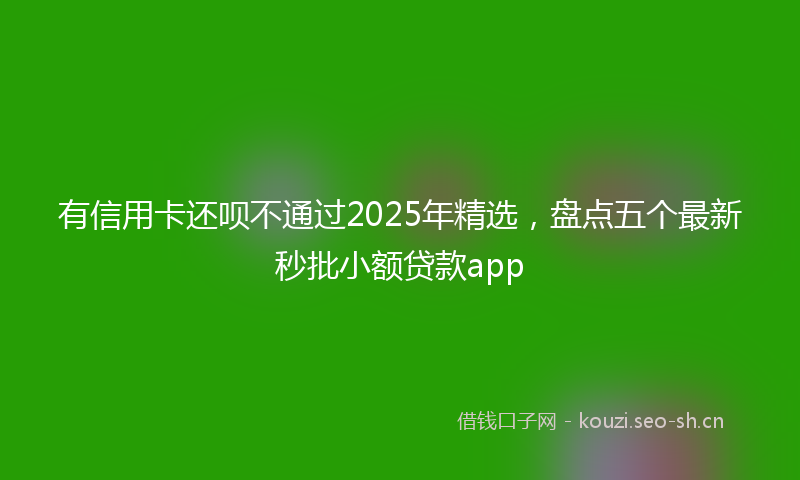 有信用卡还呗不通过2025年精选，盘点五个最新秒批小额贷款app