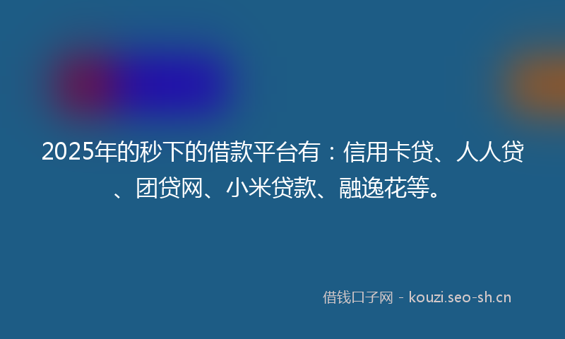 2025年的秒下的借款平台有:信用卡贷、人人贷、团贷网、小米贷款、融逸花等。