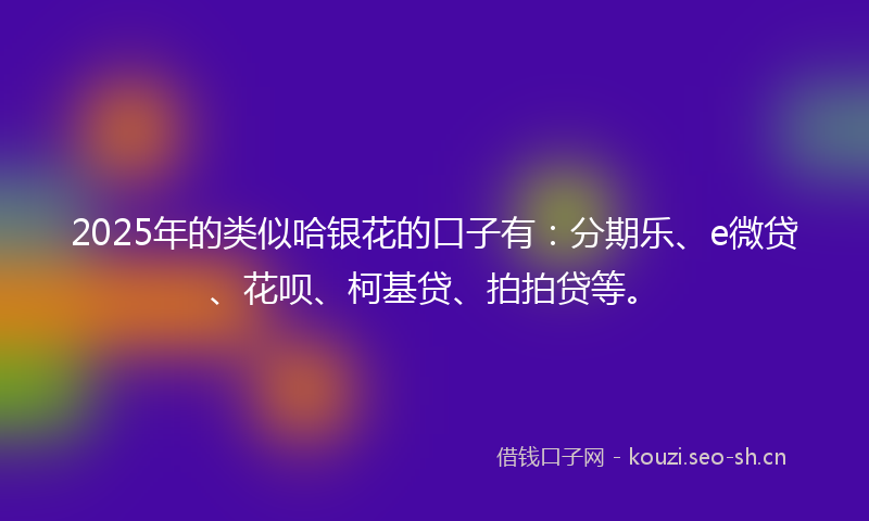 2025年的类似哈银花的口子有：分期乐、e微贷、花呗、柯基贷、拍拍贷等。