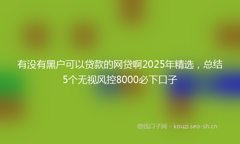 有没有黑户可以贷款的网贷啊2025年精选,总结5个无视风控8000必下口子