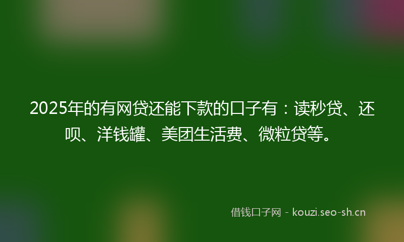 2025年的有网贷还能下款的口子有：读秒贷、还呗、洋钱罐、美团生活费、微粒贷等。