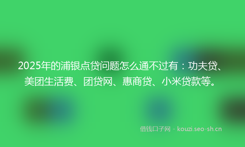 2025年的浦银点贷问题怎么通不过有：功夫贷、美团生活费、团贷网、惠商贷、小米贷款等。