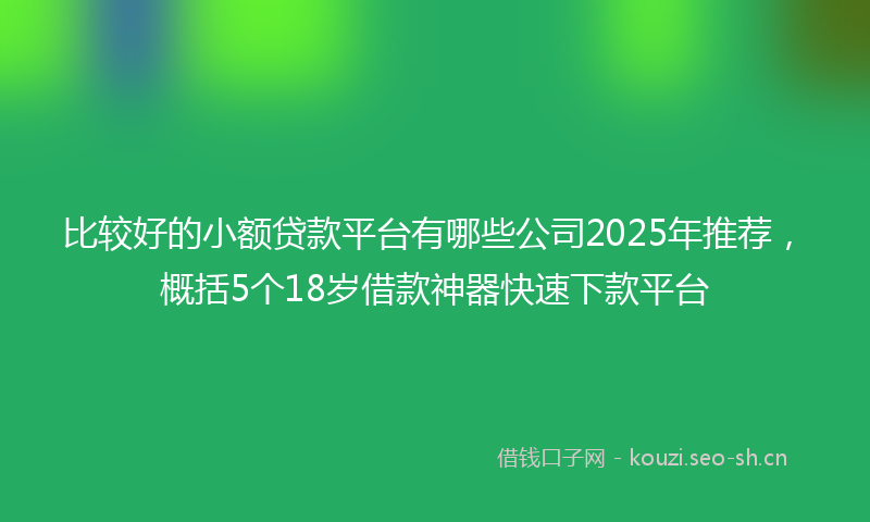 比较好的小额贷款平台有哪些公司2025年推荐，概括5个18岁借款神器快速下款平台