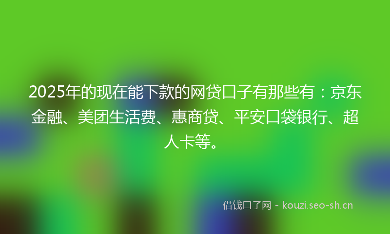 2025年的现在能下款的网贷口子有那些有：京东金融、美团生活费、惠商贷、平安口袋银行、超人卡等。