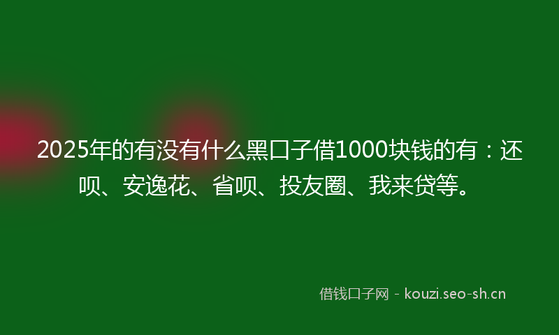 2025年的有没有什么黑口子借1000块钱的有：还呗、安逸花、省呗、投友圈、我来贷等。
