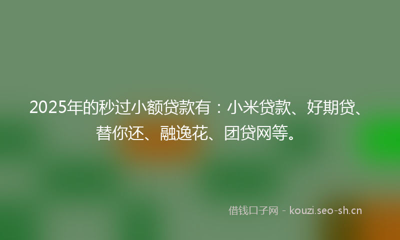 2025年的秒过小额贷款有：小米贷款、好期贷、替你还、融逸花、团贷网等。